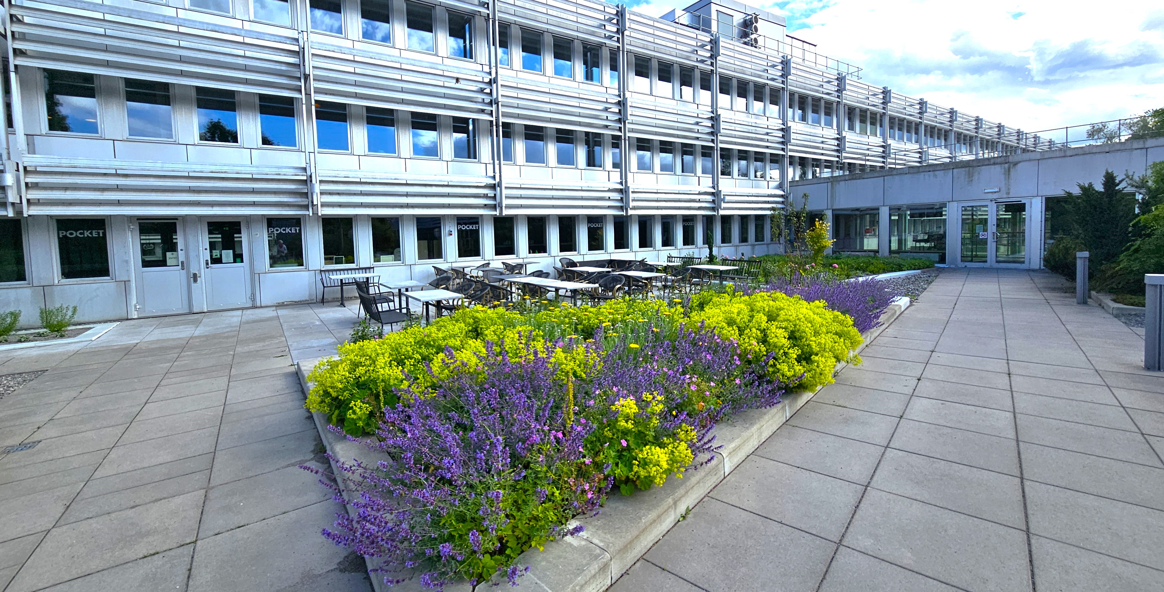Nu blommar det runt Lidingö stadshus. 26 juni 2025