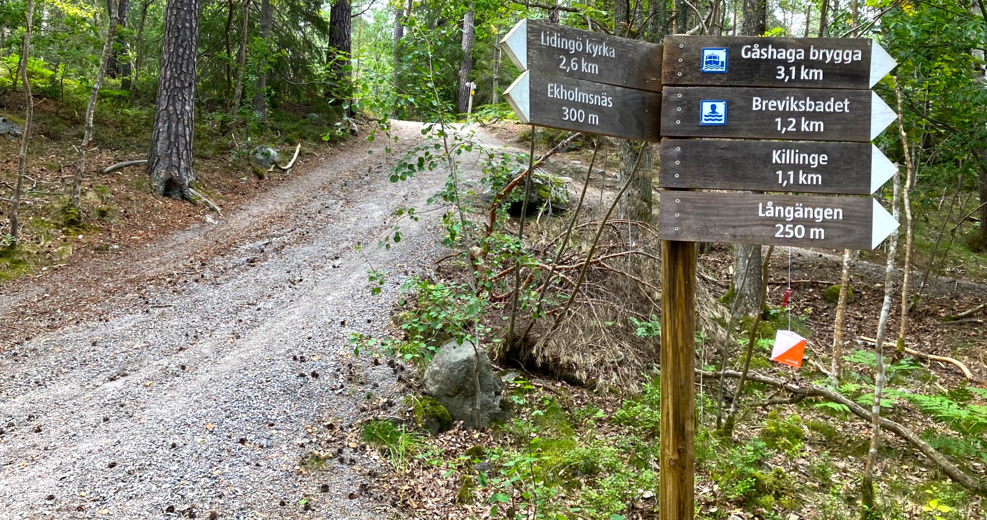 Mitt ute i skogen finns skyltar som visar vägen! 21 augusti 2025