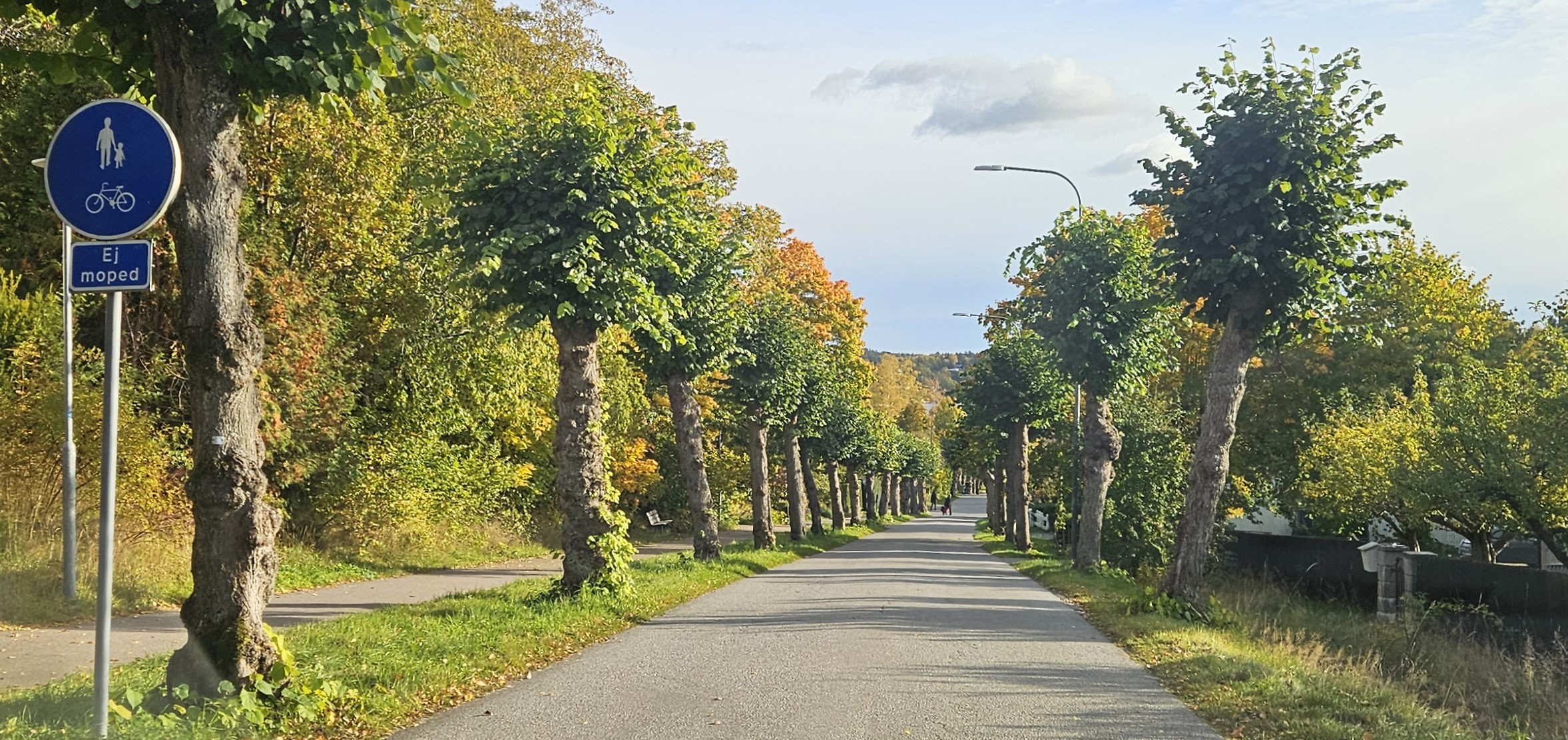 I Västra allén i Brevik börjar hösten synas. 17 oktober 2025